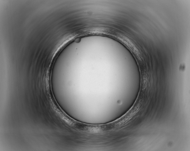 X0000097980798200804071123