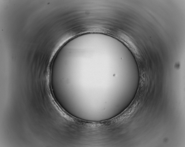 X0000097980804200804071123