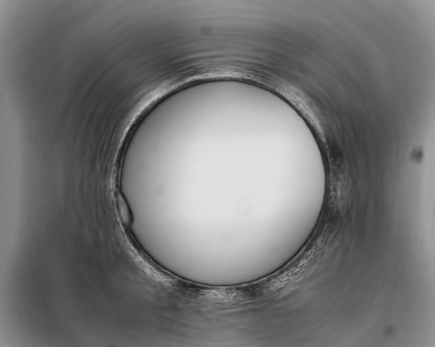 X0000097980805200804071123