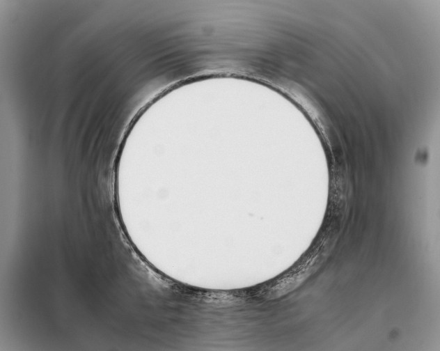 X0000097980807200804071123