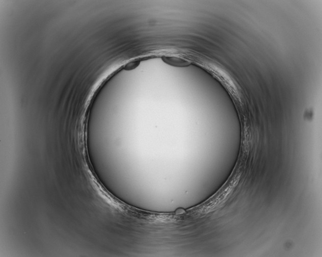 X0000097980808200804071123