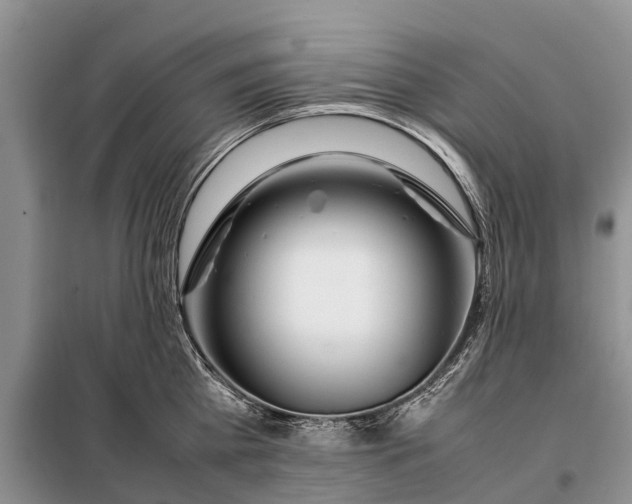 X0000097980809200804071123