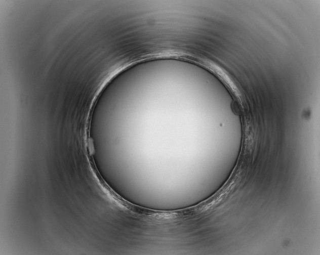 X0000097980810200804071123