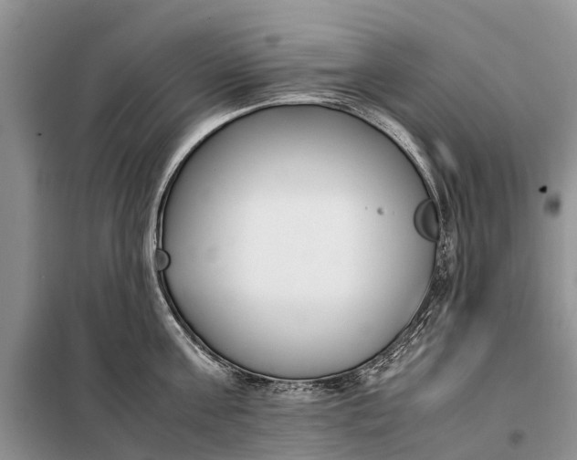 X0000097980811200804071123