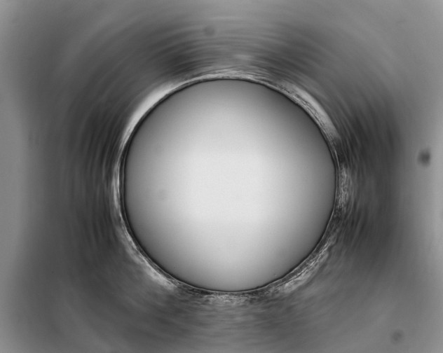 X0000097980812200804071123