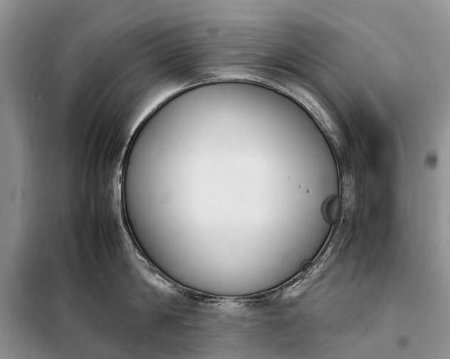 X0000097980814200804071123