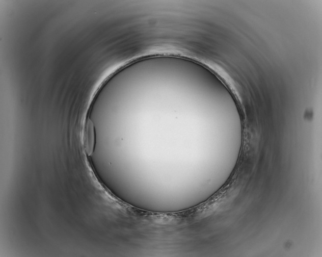 X0000097980815200804071123