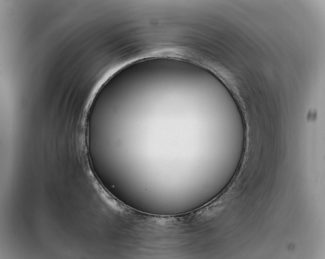 X0000097980816200804071123