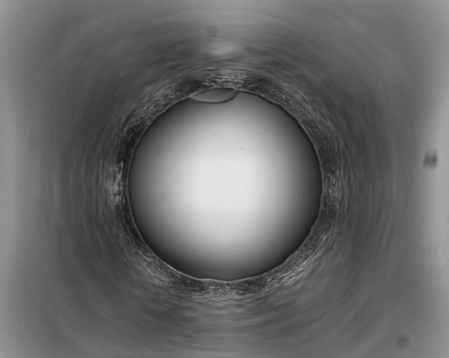 X0000097980818200804071122