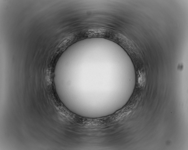 X0000097980819200804071122