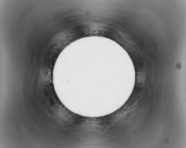 X0000097980820200804071122