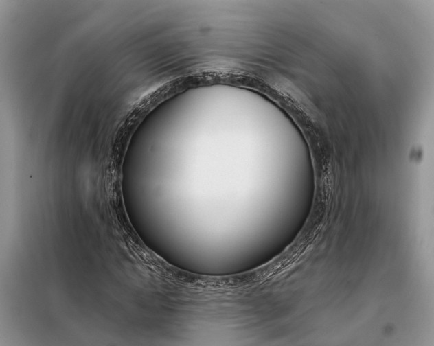 X0000097980822200804071122