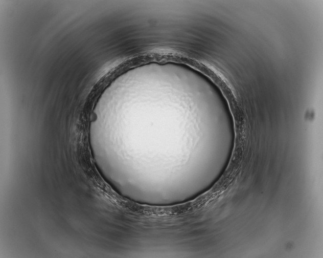 X0000097980823200804071122