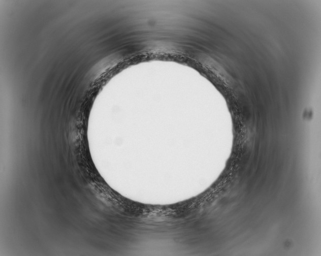 X0000097980824200804071122