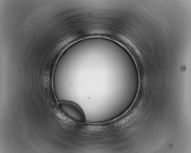 X0000097980825200804071122