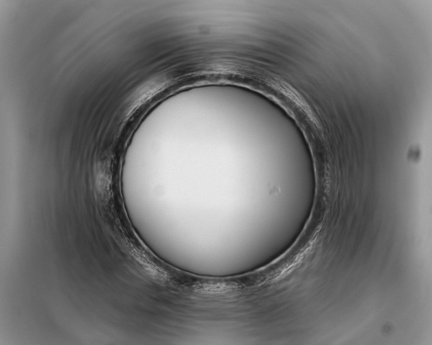 X0000097980826200804071122