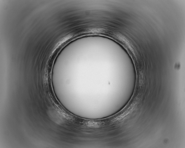 X0000097980827200804071122