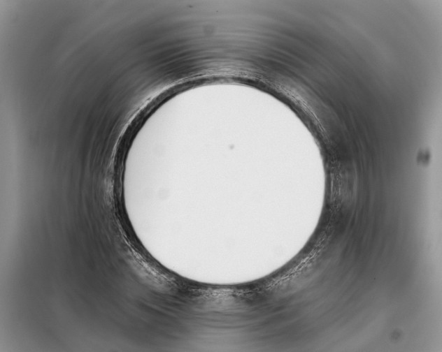 X0000097980828200804071122