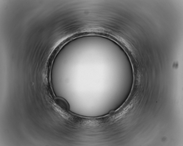 X0000097980830200804071123