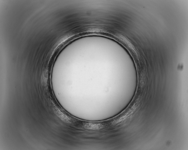 X0000097980831200804071123