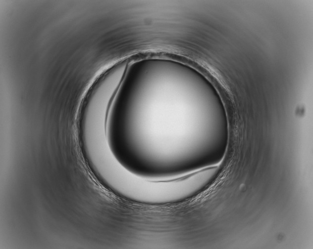 X0000097980832200804071123