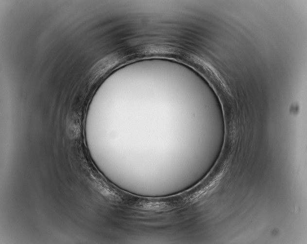 X0000097980833200804071123