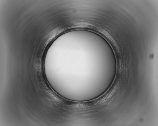 X0000097980834200804071123