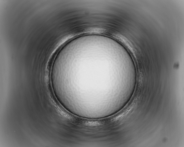 X0000097980835200804071123