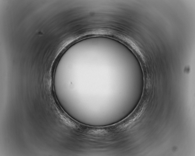 X0000097980837200804071123