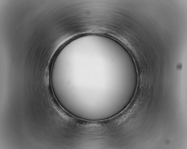 X0000097980838200804071123