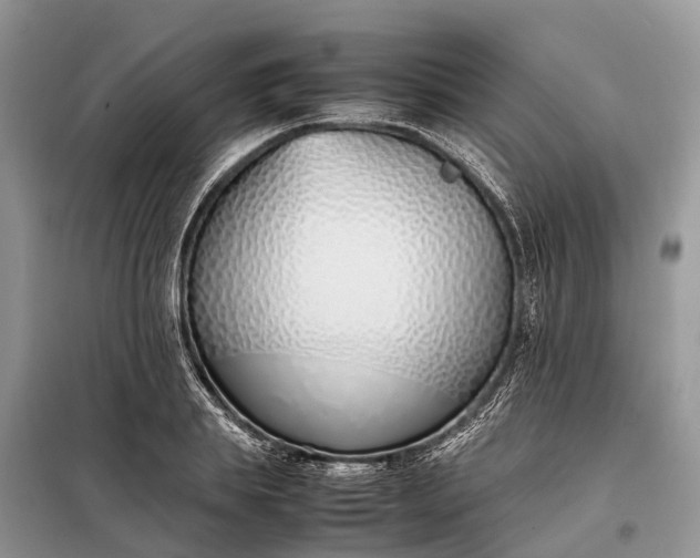 X0000097980839200804071123
