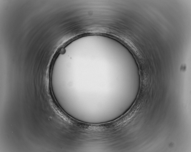 X0000097980840200804071123