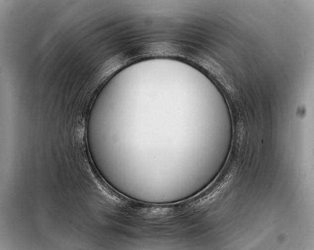 X0000097980841200804071123