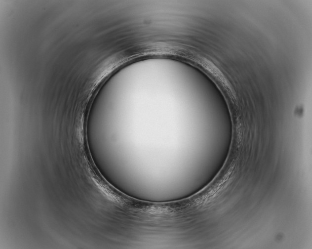 X0000097980842200804071123