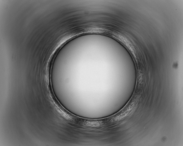 X0000097980843200804071123