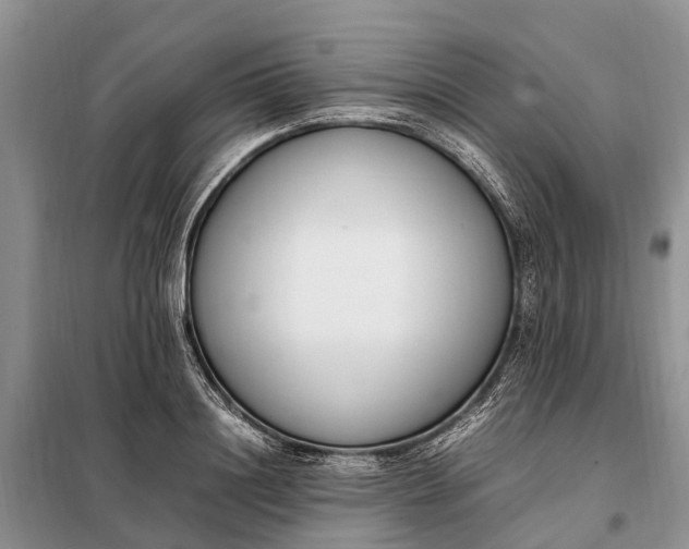 X0000097980844200804071123
