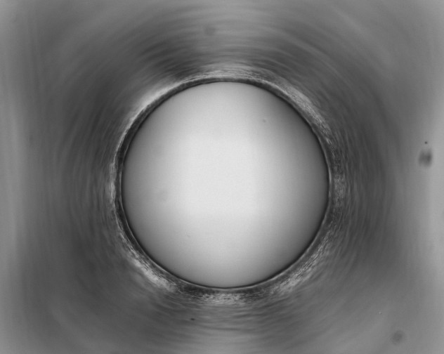 X0000097980846200804071123