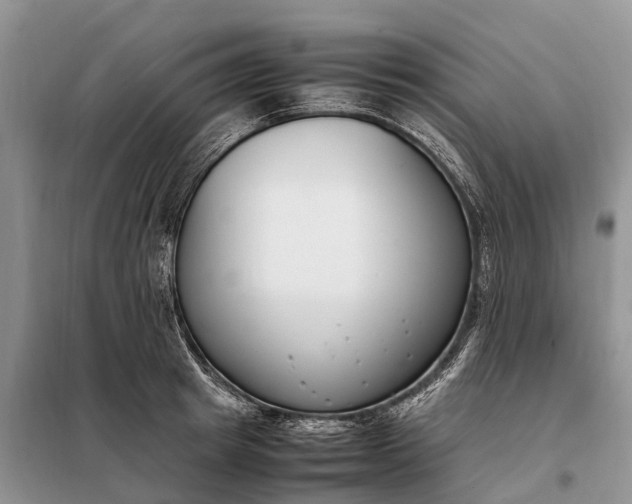 X0000097980849200804071123