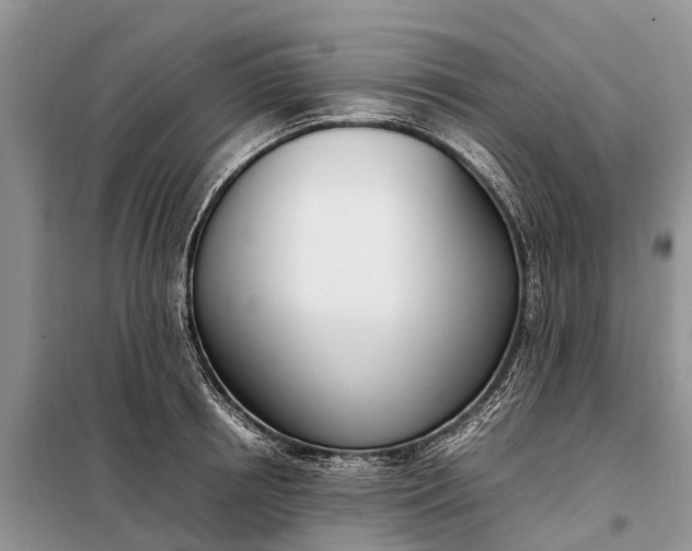 X0000097980850200804071123