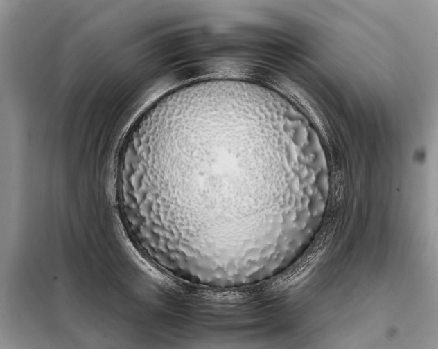 X0000097980851200804071123