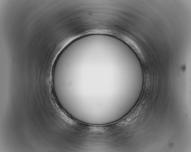X0000097980852200804071123