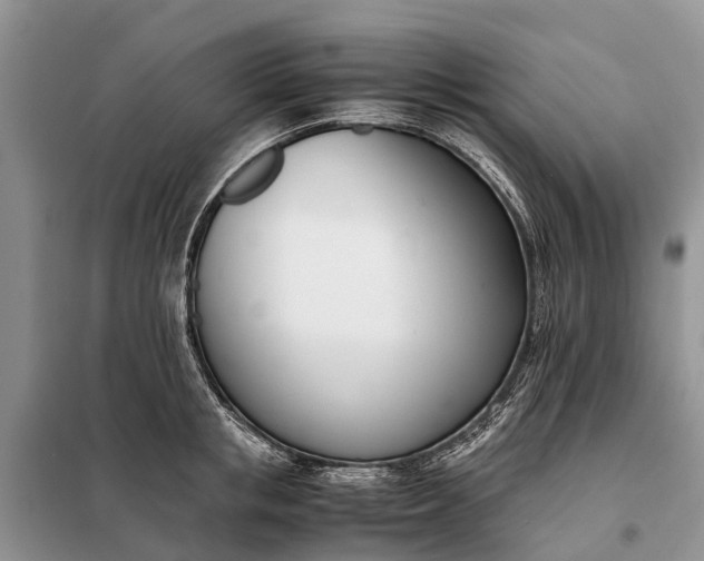 X0000097980853200804071123