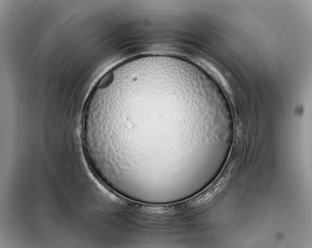 X0000097980855200804071123