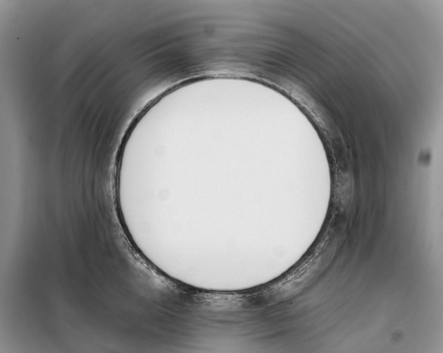 X0000097980856200804071123
