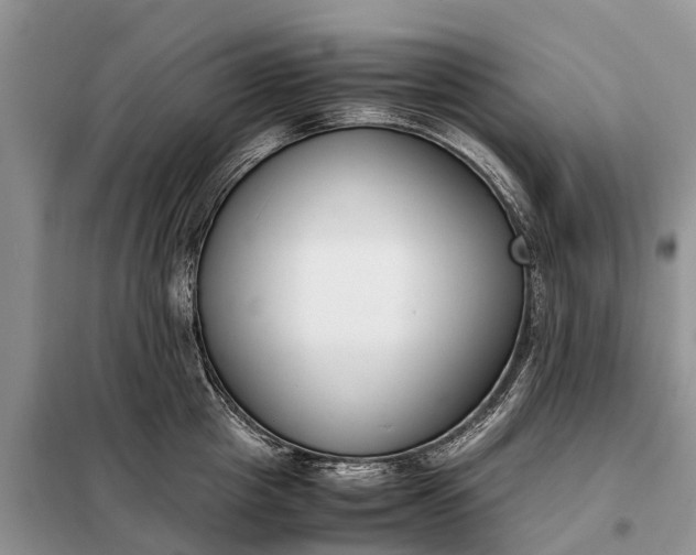 X0000097980857200804071123