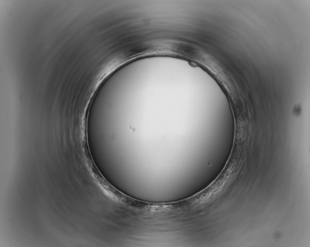 X0000097980858200804071123