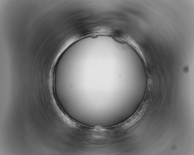 X0000097980859200804071123