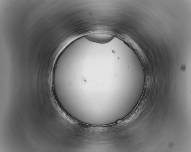 X0000097980860200804071123
