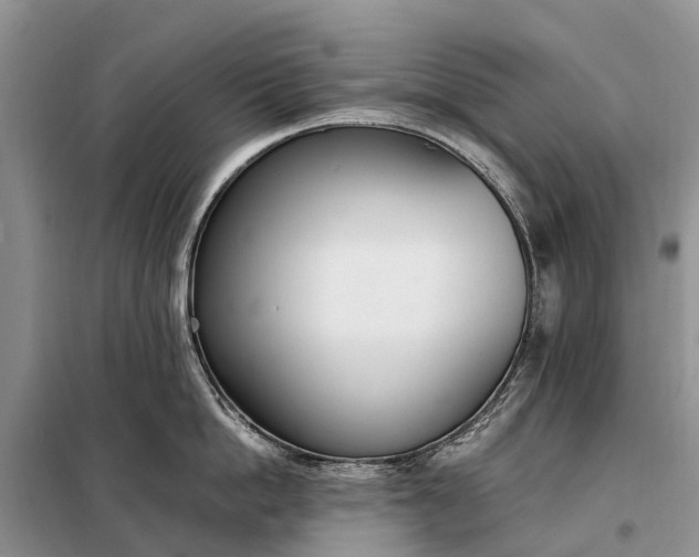 X0000097980862200804071123