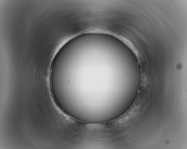 X0000097980863200804071123